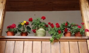 Small garden decoration ideas for balconies using vertical planters and hanging pots