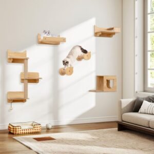 Wall-mounted cat shelves and hidden litter cabinet in a small apartment