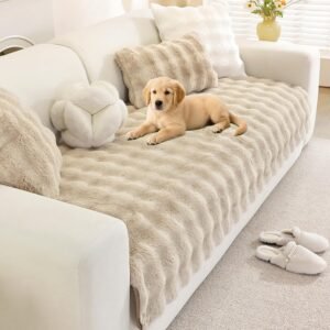 Washable slipcover sofa with cat resting on performance fabric cushion
