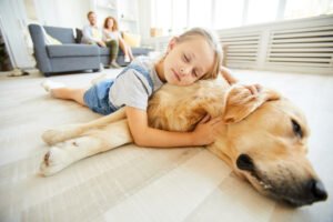 Scratch-resistant luxury vinyl plank flooring in a home with a golden retriever